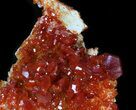 Red Vanadinite Crystal Cluster - Morocco #38523-2